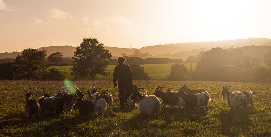 Ffern x Julius Roberts